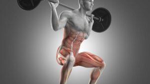 Can Eating Apples and Doing Squats Help You Build Muscle