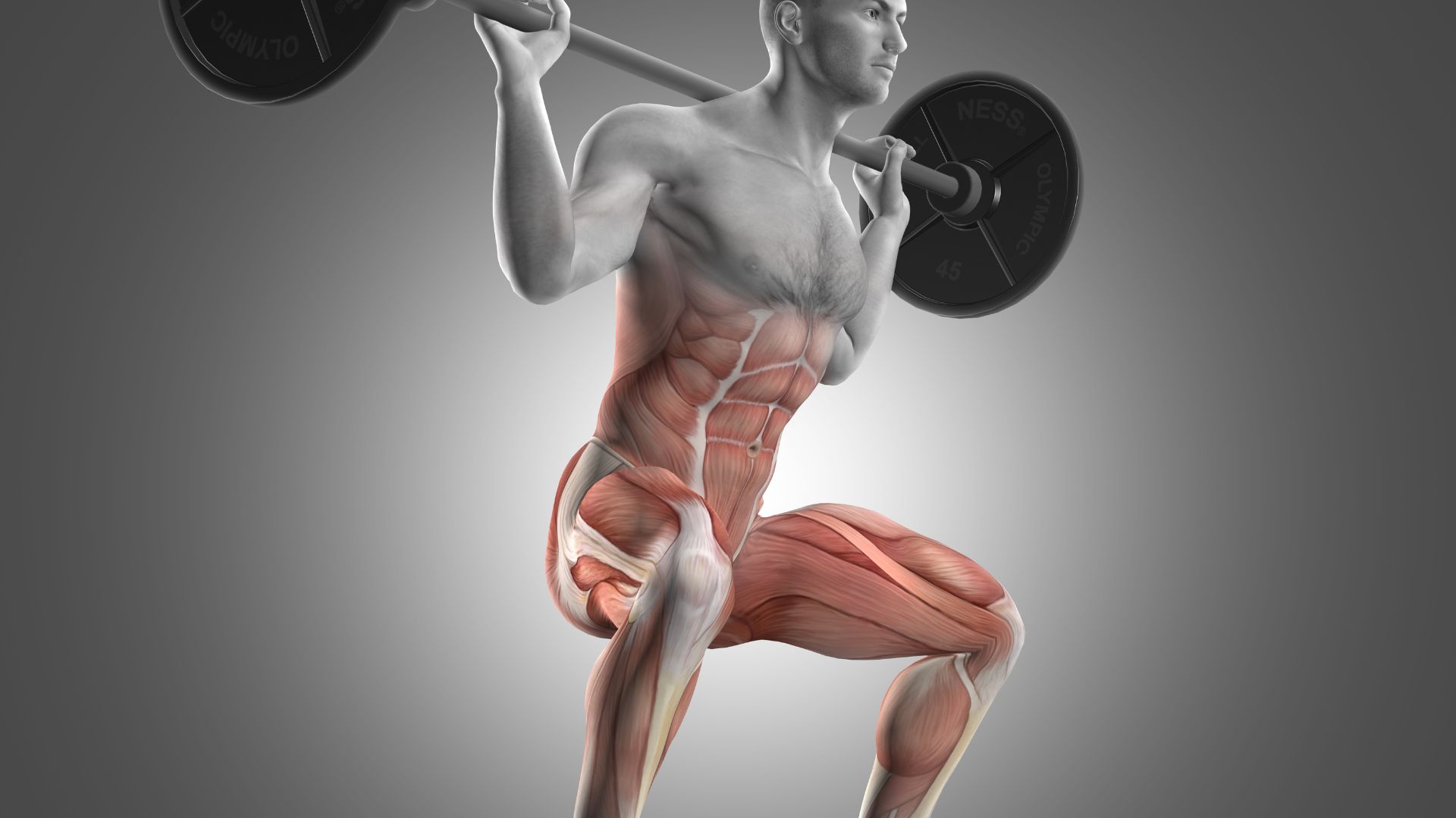 Will eating spinach Give You A Toned Glute While Squatting