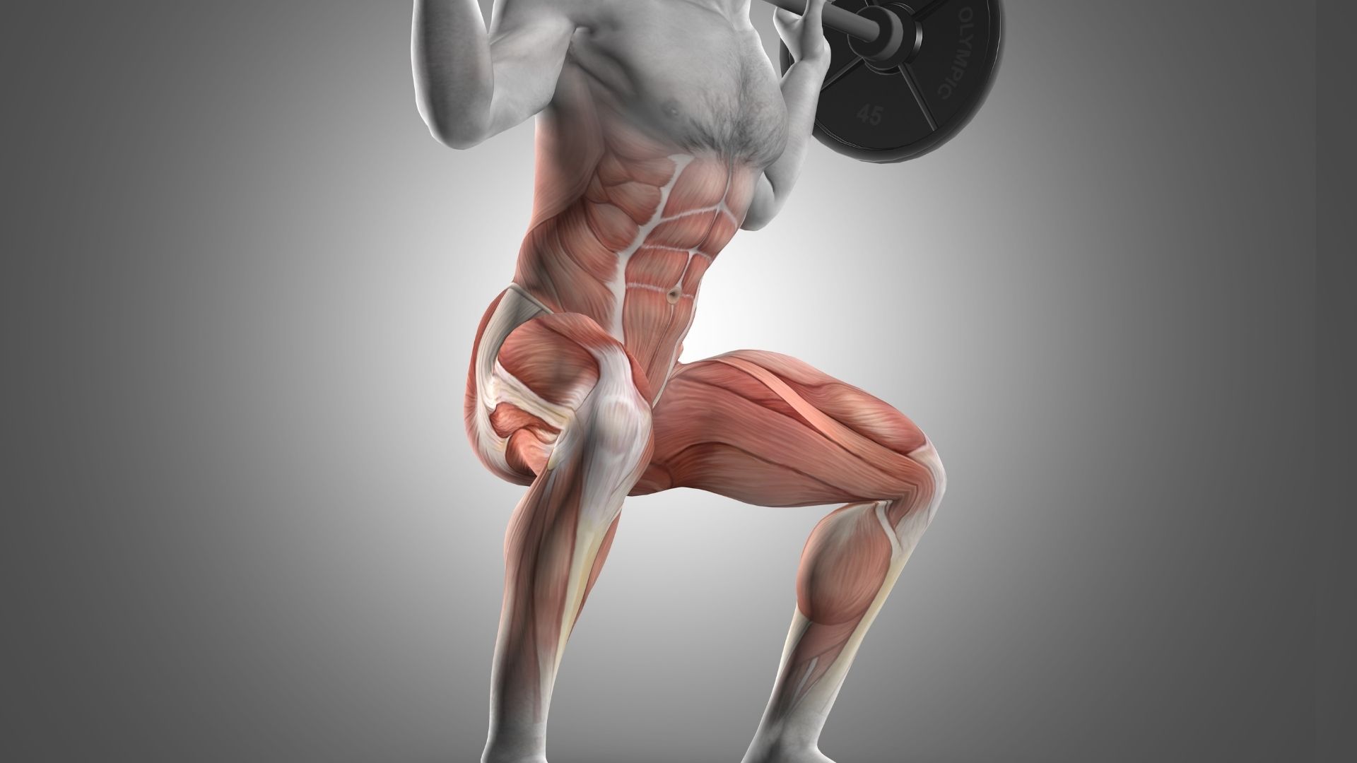 Why Do Squats Make Me Feel a Pump in My Quads: Explained) 