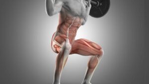 Why Do Squats Make Me Feel a Burn in My Calves: Explained) 
