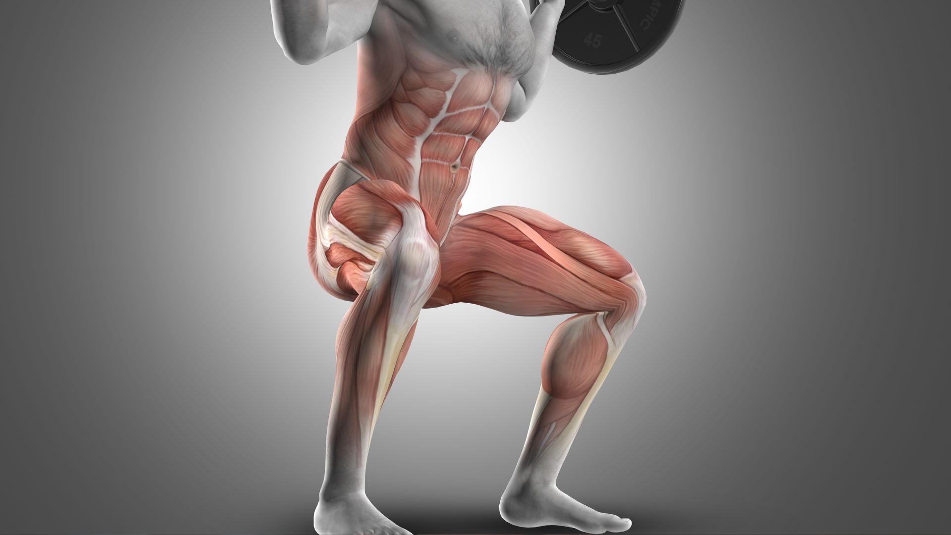 Why Squats Make You Feel a Burn In Hamstrings: Explained) 