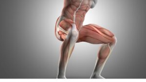 Why Do Squats Make Me Feel a Burn In My Thighs: Explained)