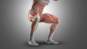 Why Do Squats Make Me Feel My Core Muscles Engaged: Explained)