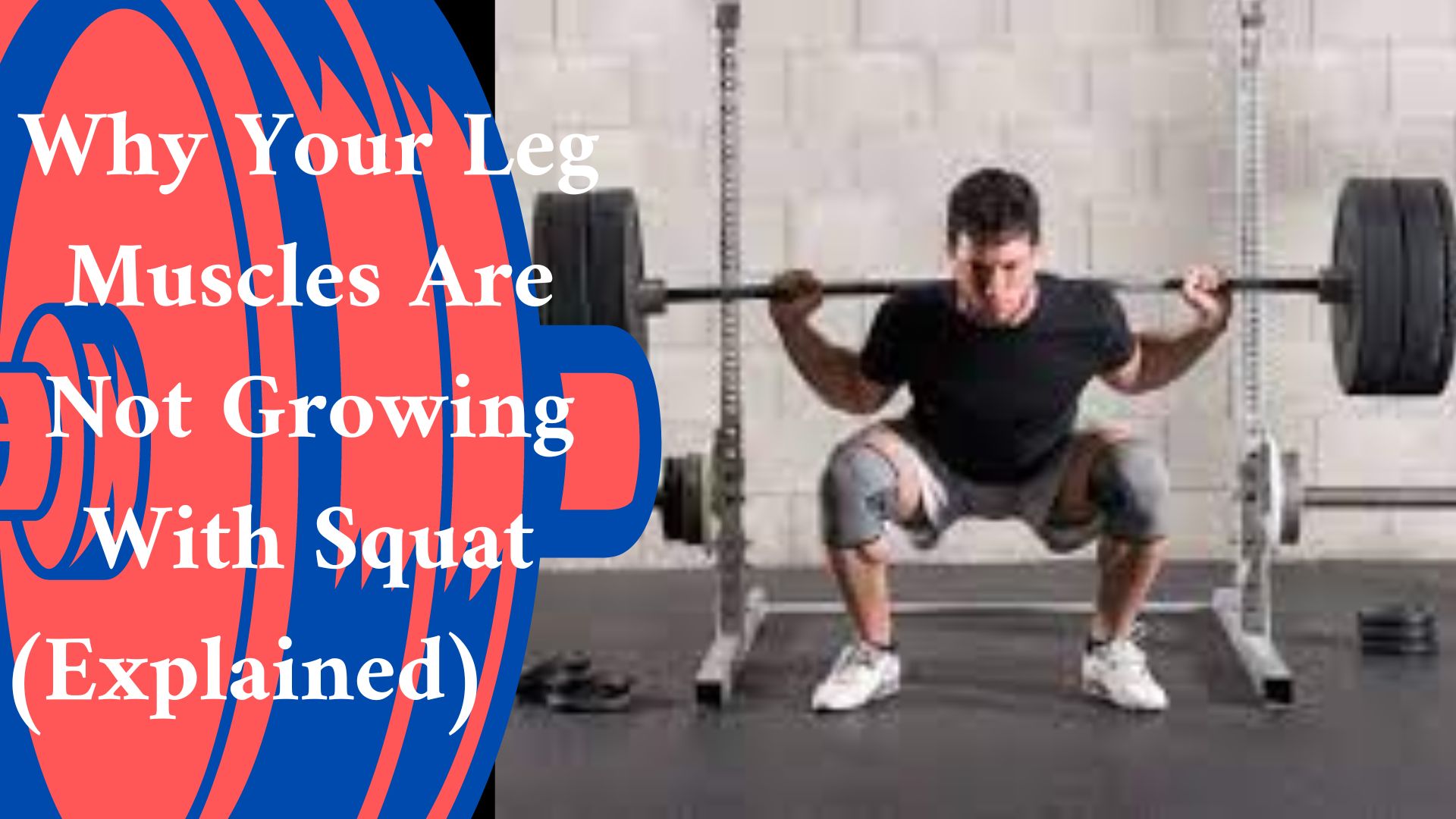 why-your-leg-muscles-are-not-growing-with-squat-explained-jsquat